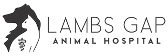 Link to Homepage of Lambs Gap Animal Hospital